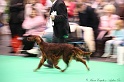 Crufts2011 291